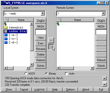 ftp8.gif (41201 byte)